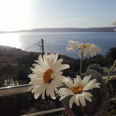 Olympic View Guesthouse Kalámion Екстериор снимка