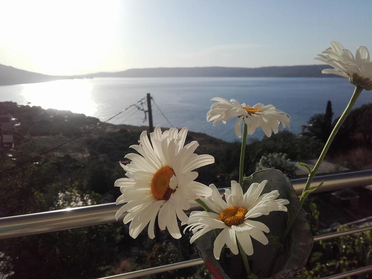 Olympic View Guesthouse Kalámion Екстериор снимка